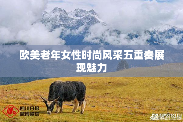 欧美老年女性时尚风采五重奏展现魅力
