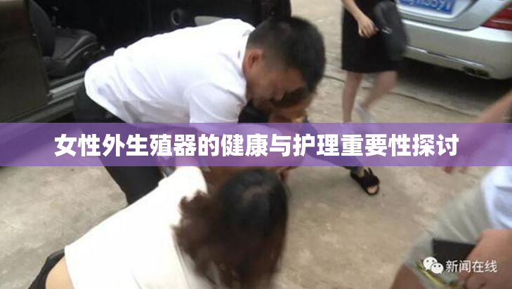 女性外生殖器的健康与护理重要性探讨