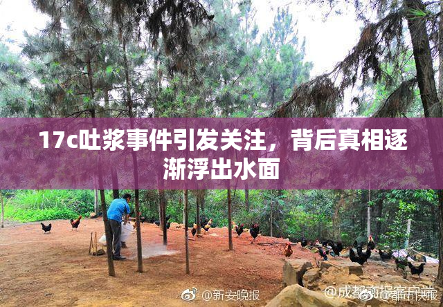 17c吐浆事件引发关注，背后真相逐渐浮出水面