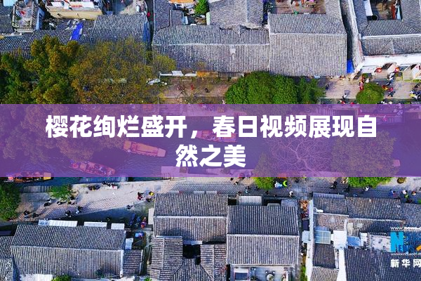 樱花绚烂盛开，春日视频展现自然之美
