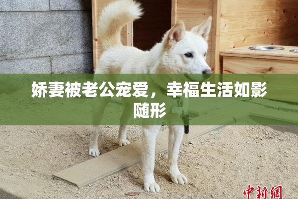 娇妻被老公宠爱，幸福生活如影随形