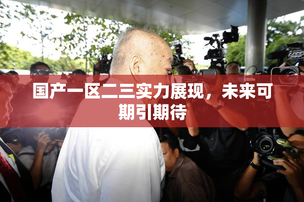 国产一区二三实力展现，未来可期引期待