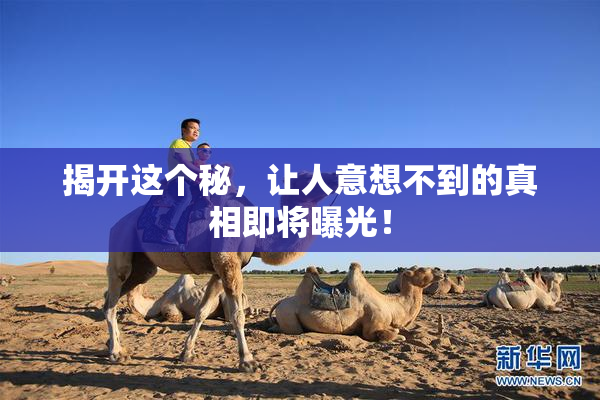 揭开这个秘，让人意想不到的真相即将曝光！