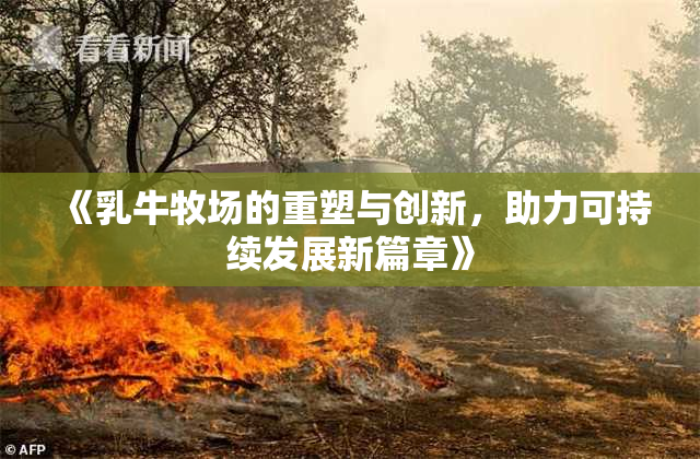 《乳牛牧场的重塑与创新，助力可持续发展新篇章》