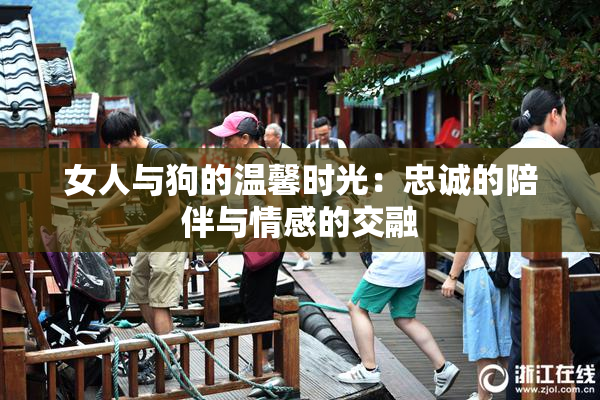 女人与狗的温馨时光：忠诚的陪伴与情感的交融