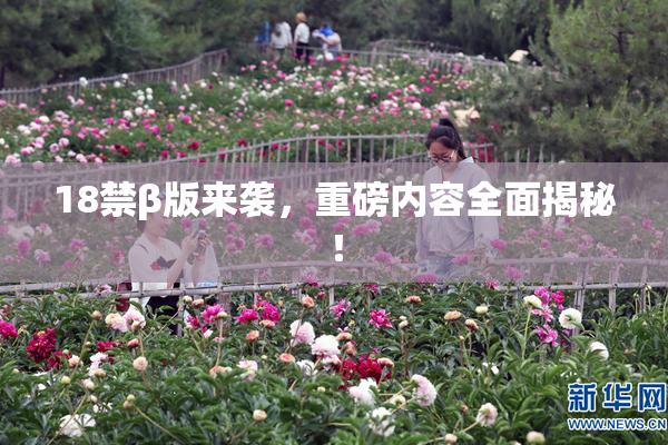 18禁β版来袭，重磅内容全面揭秘！