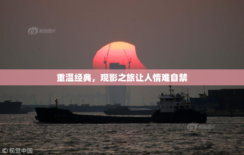 重温经典，观影之旅让人情难自禁