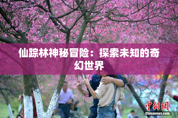 仙踪林神秘冒险：探索未知的奇幻世界
