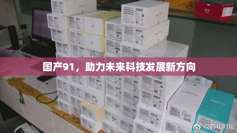 国产91，助力未来科技发展新方向