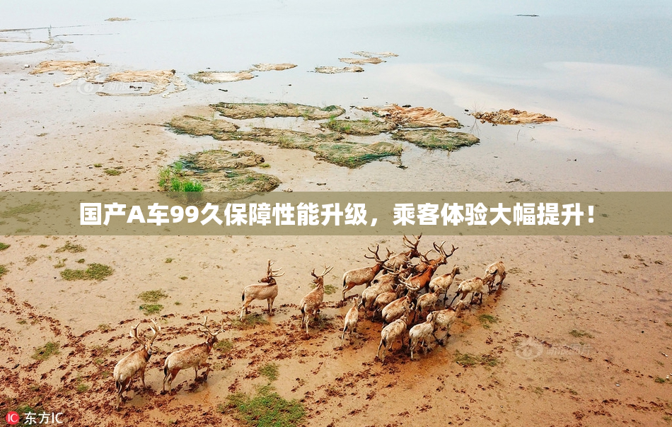 国产A车99久保障性能升级，乘客体验大幅提升！
