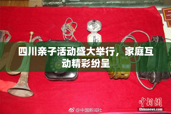 四川亲子活动盛大举行，家庭互动精彩纷呈
