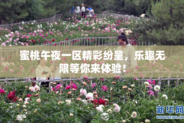 蜜桃午夜一区精彩纷呈，乐趣无限等你来体验！