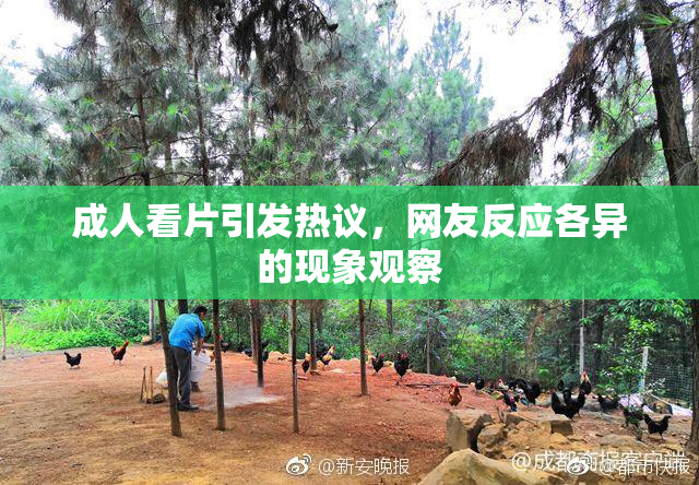 成人看片引发热议，网友反应各异的现象观察