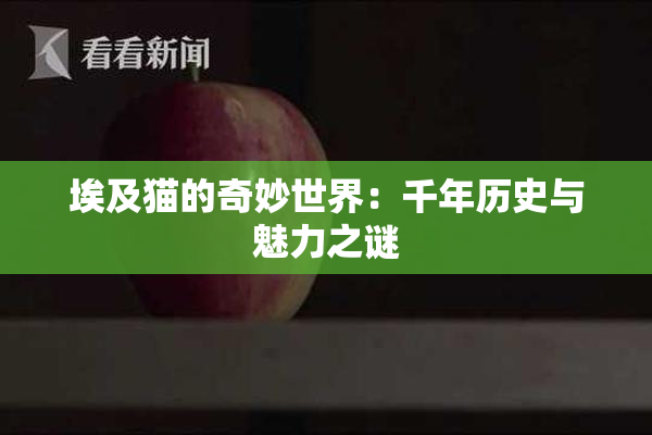 埃及猫的奇妙世界：千年历史与魅力之谜
