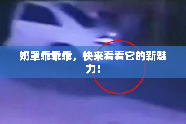 奶罩乖乖乖，快来看看它的新魅力！