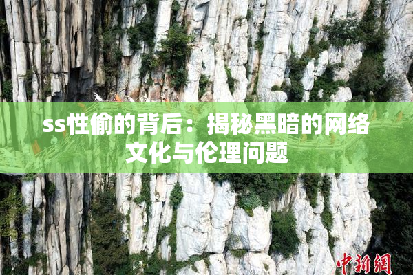 ss性偷的背后：揭秘黑暗的网络文化与伦理问题