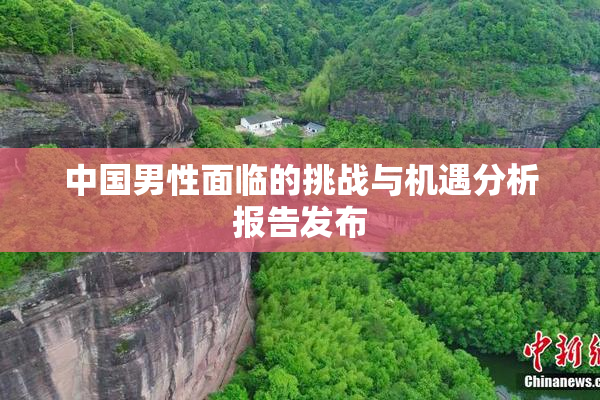 中国男性面临的挑战与机遇分析报告发布