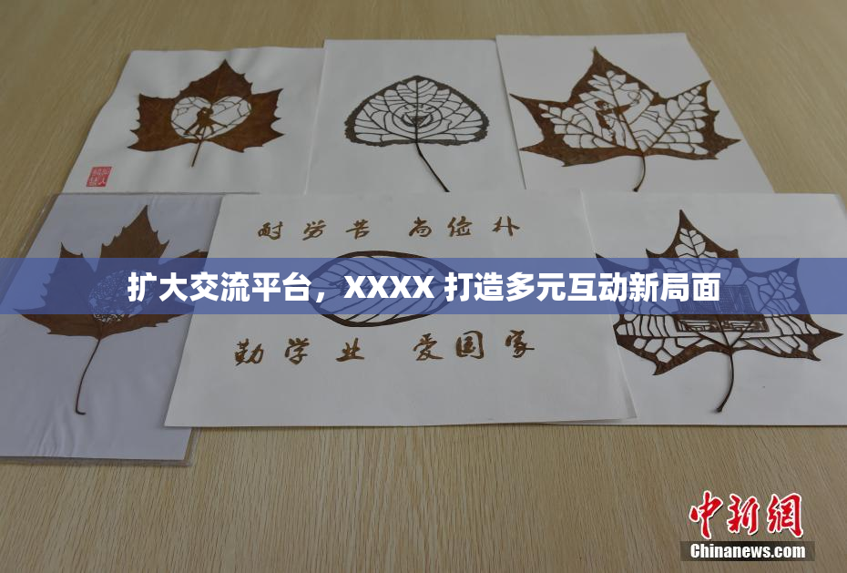 扩大交流平台，XXXX 打造多元互动新局面