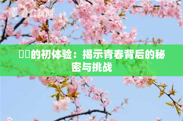 妺妺的初体验：揭示青春背后的秘密与挑战