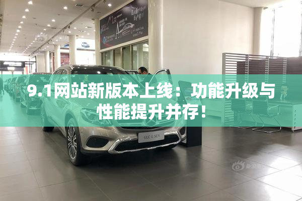 9.1网站新版本上线：功能升级与性能提升并存！