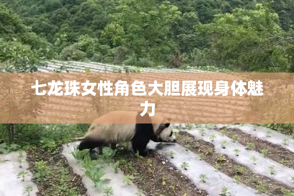 七龙珠女性角色大胆展现身体魅力