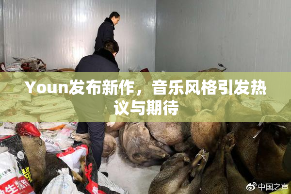 Youn发布新作，音乐风格引发热议与期待