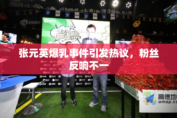 张元英爆乳事件引发热议，粉丝反响不一