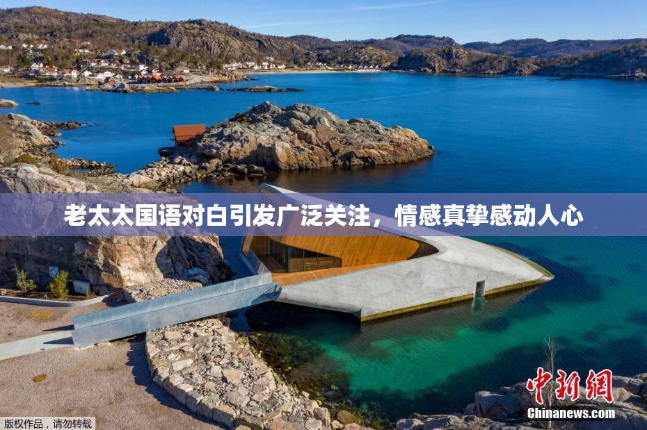 老太太国语对白引发广泛关注，情感真挚感动人心