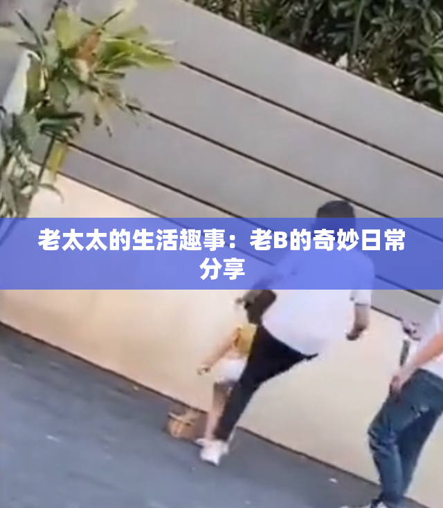 老太太的生活趣事：老B的奇妙日常分享