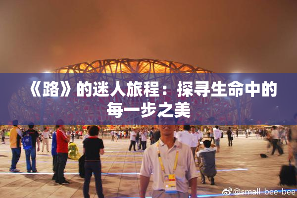 《路》的迷人旅程：探寻生命中的每一步之美