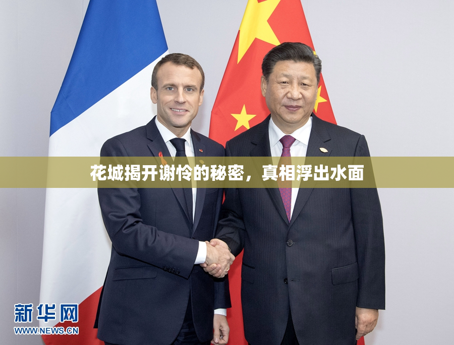 花城揭开谢怜的秘密，真相浮出水面