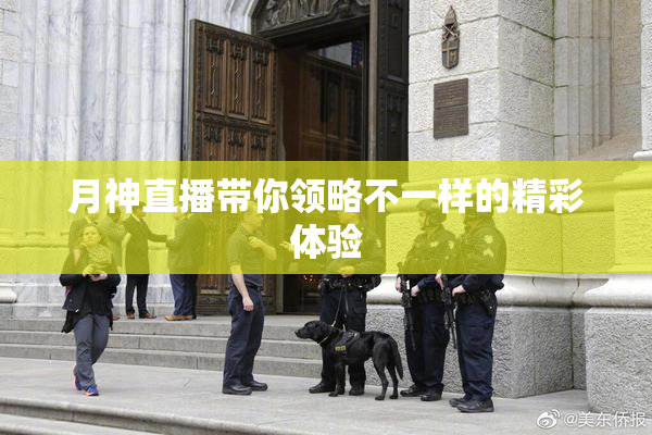 月神直播带你领略不一样的精彩体验