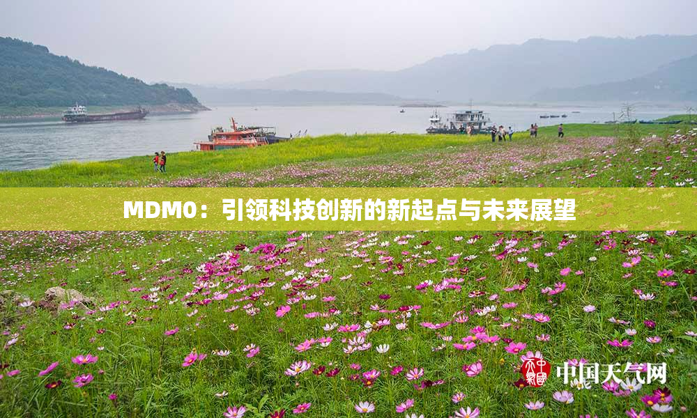 MDM0：引领科技创新的新起点与未来展望