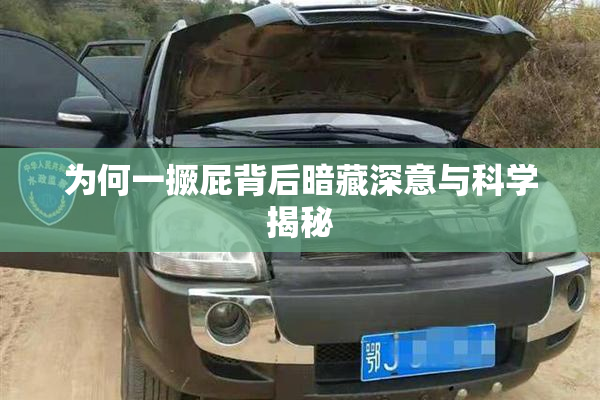 为何一撅屁背后暗藏深意与科学揭秘