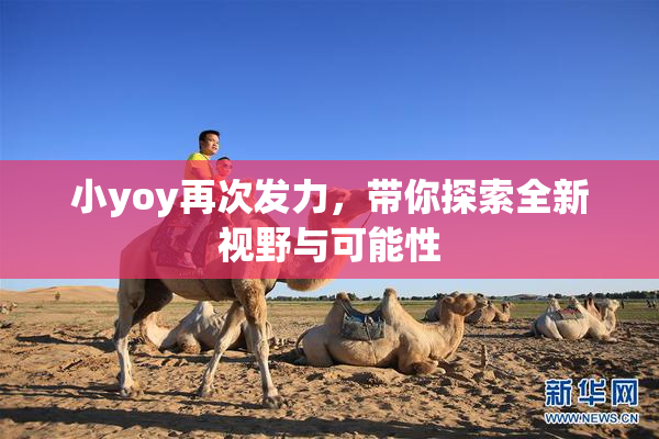 小yoy再次发力，带你探索全新视野与可能性