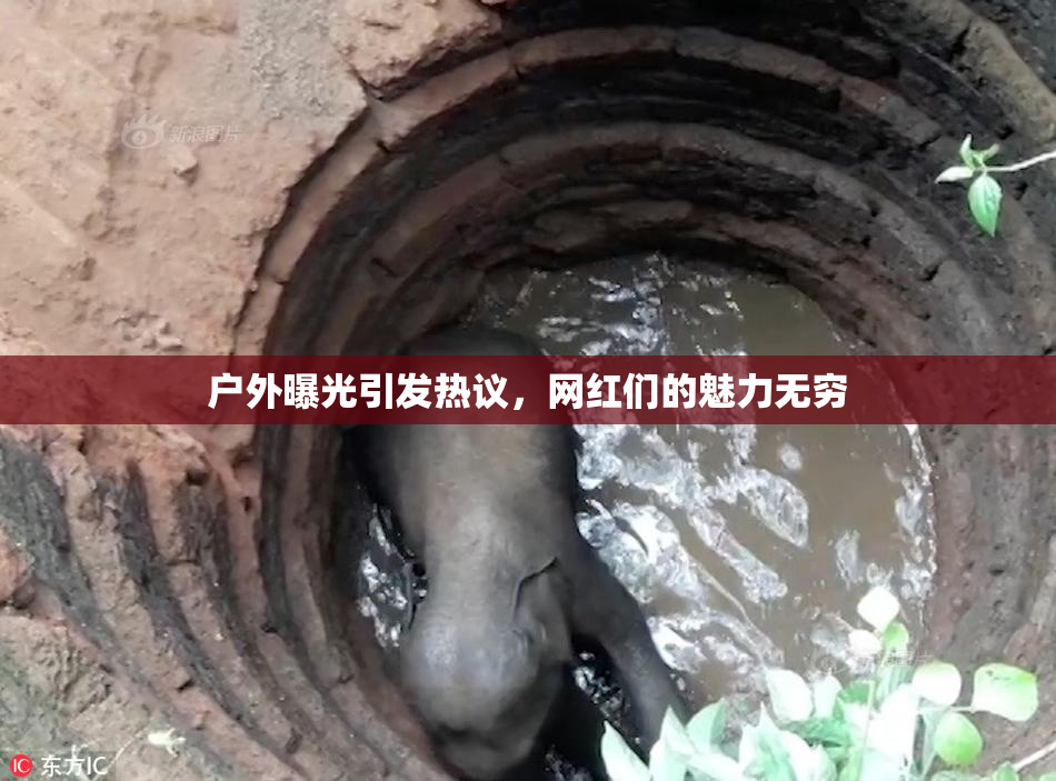户外曝光引发热议，网红们的魅力无穷