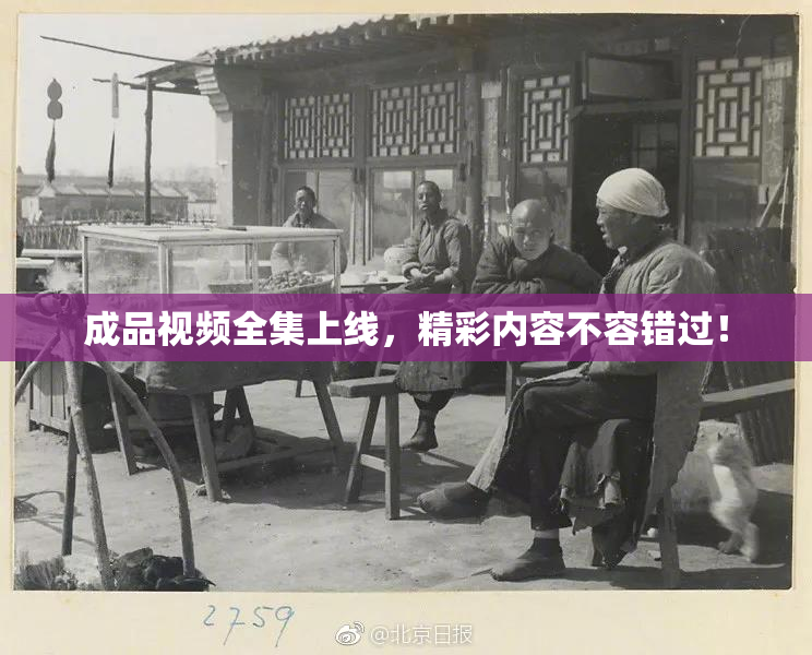 成品视频全集上线，精彩内容不容错过！
