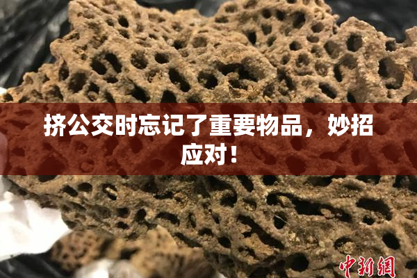 挤公交时忘记了重要物品，妙招应对！