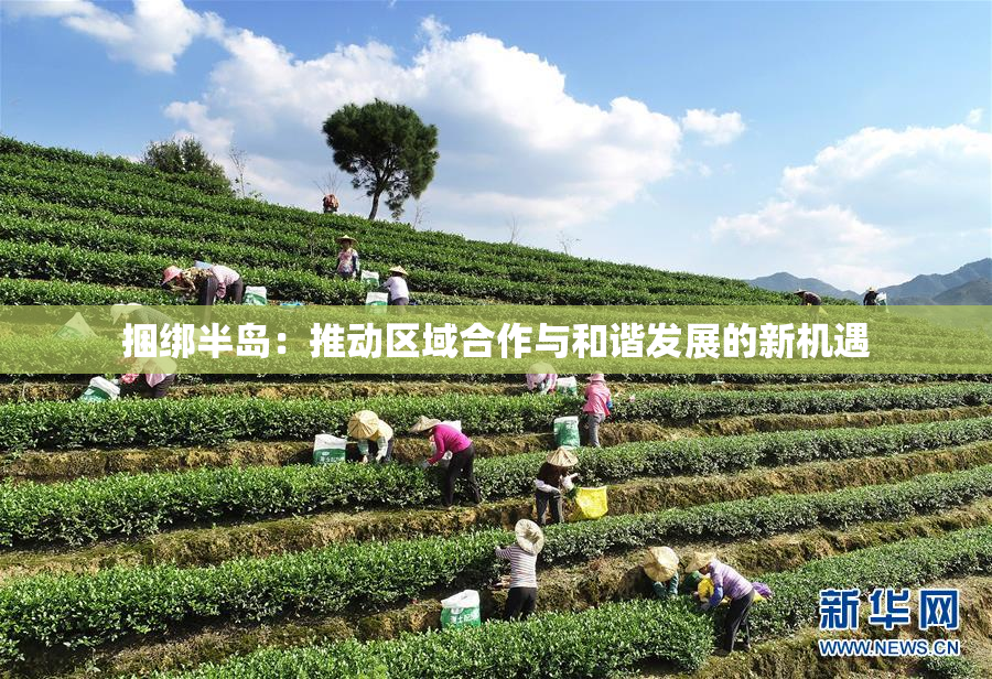 捆绑半岛：推动区域合作与和谐发展的新机遇