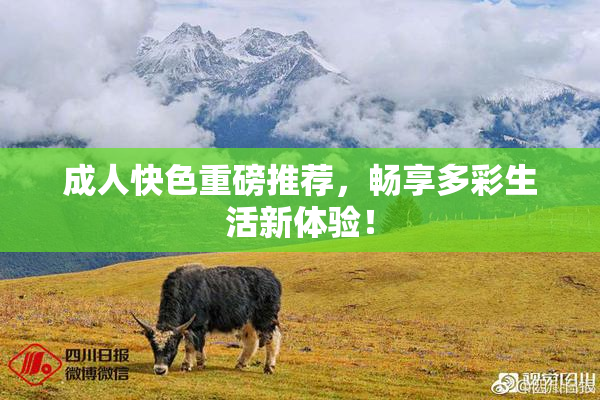 成人快色重磅推荐，畅享多彩生活新体验！