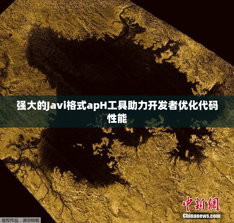 强大的Javi格式apH工具助力开发者优化代码性能