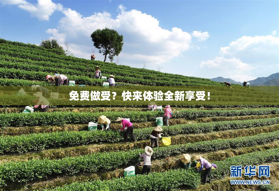 免费做受？快来体验全新享受！