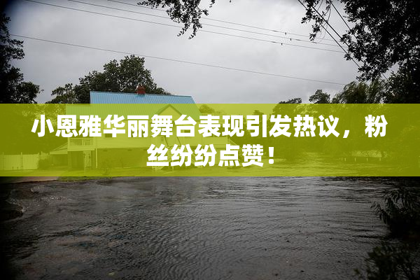 小恩雅华丽舞台表现引发热议，粉丝纷纷点赞！