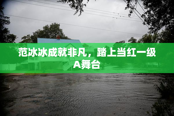 范冰冰成就非凡，踏上当红一级A舞台