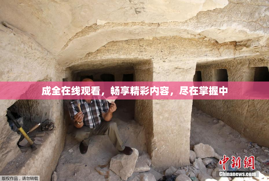 成全在线观看，畅享精彩内容，尽在掌握中