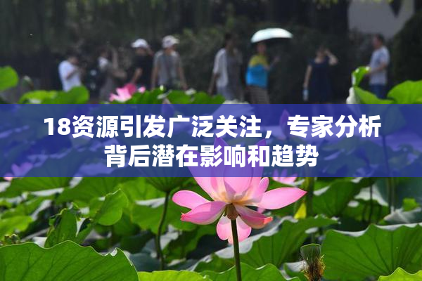 18资源引发广泛关注，专家分析背后潜在影响和趋势