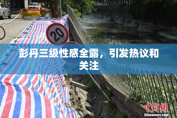 彭丹三级性感全露，引发热议和关注