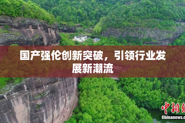 国产强伦创新突破，引领行业发展新潮流