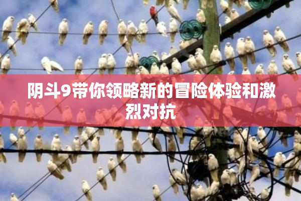 阴斗9带你领略新的冒险体验和激烈对抗