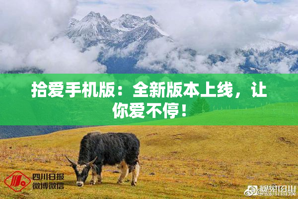 拾爱手机版：全新版本上线，让你爱不停！